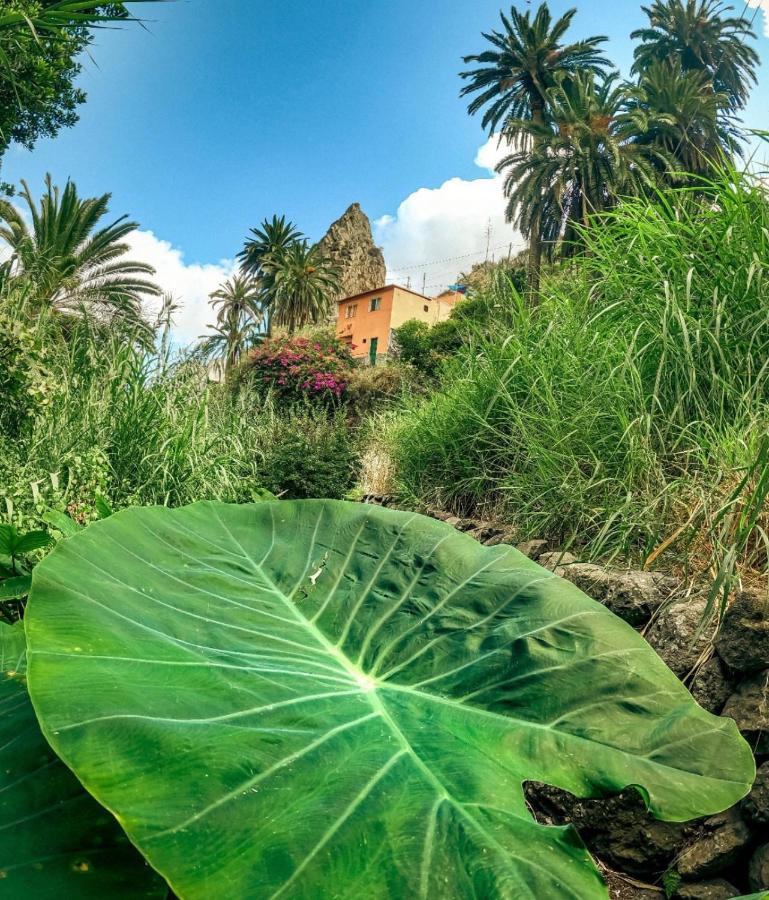 Casa Buganvilla Hermigua Exterior foto